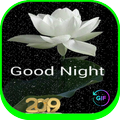 Good Night Images hd 2019