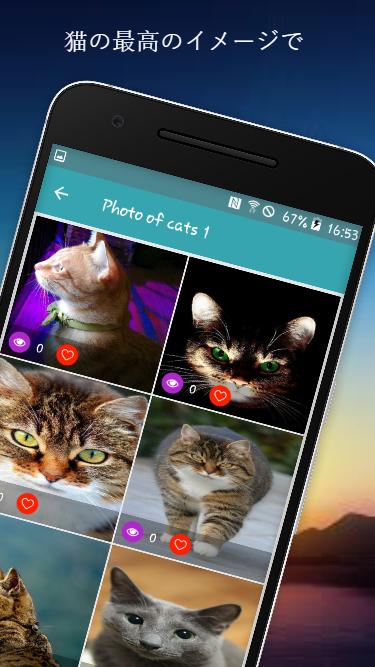 猫壁紙無料 Cat Wallpaper Free Dlya Android Skachat Apk