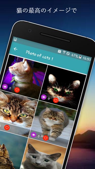 猫壁紙無料 Cat Wallpaper Free Dlya Android Skachat Apk 猫壁紙無料 Cat Wallpaper Free Dlya Android Skachat Apk