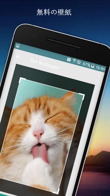 猫壁紙無料 Cat Wallpaper Free Apk للاندرويد تنزيل