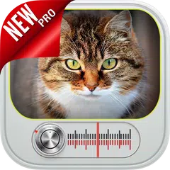 Descargar APK de 猫の音 - Sound of a Cat