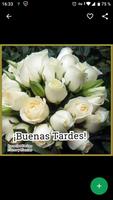 Imágenes de Buenas Tardes con Rosas y Flores capture d'écran 1