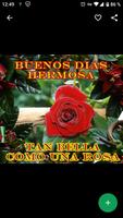 Imágenes de Buenos Dias con Rosas Affiche