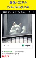 画像・GIFまとめ screenshot 1