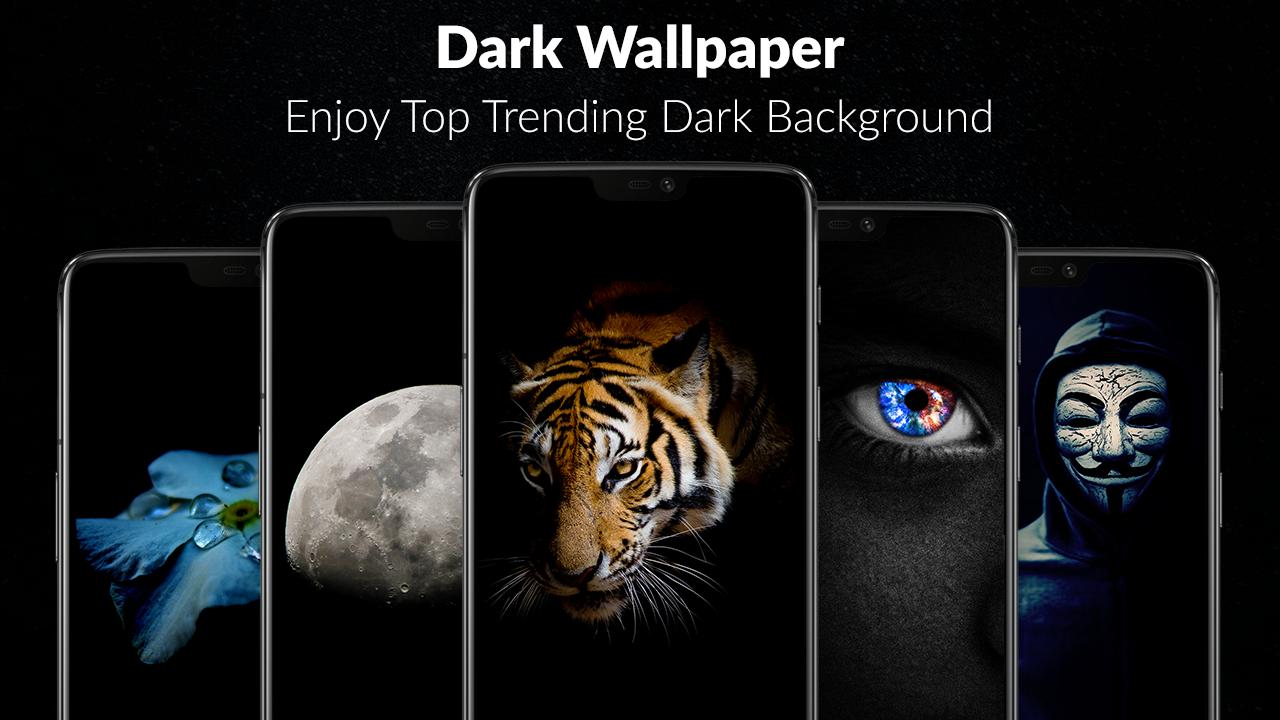 Trending Wallpaper Hd : Bring your screen to life with our extensive ...