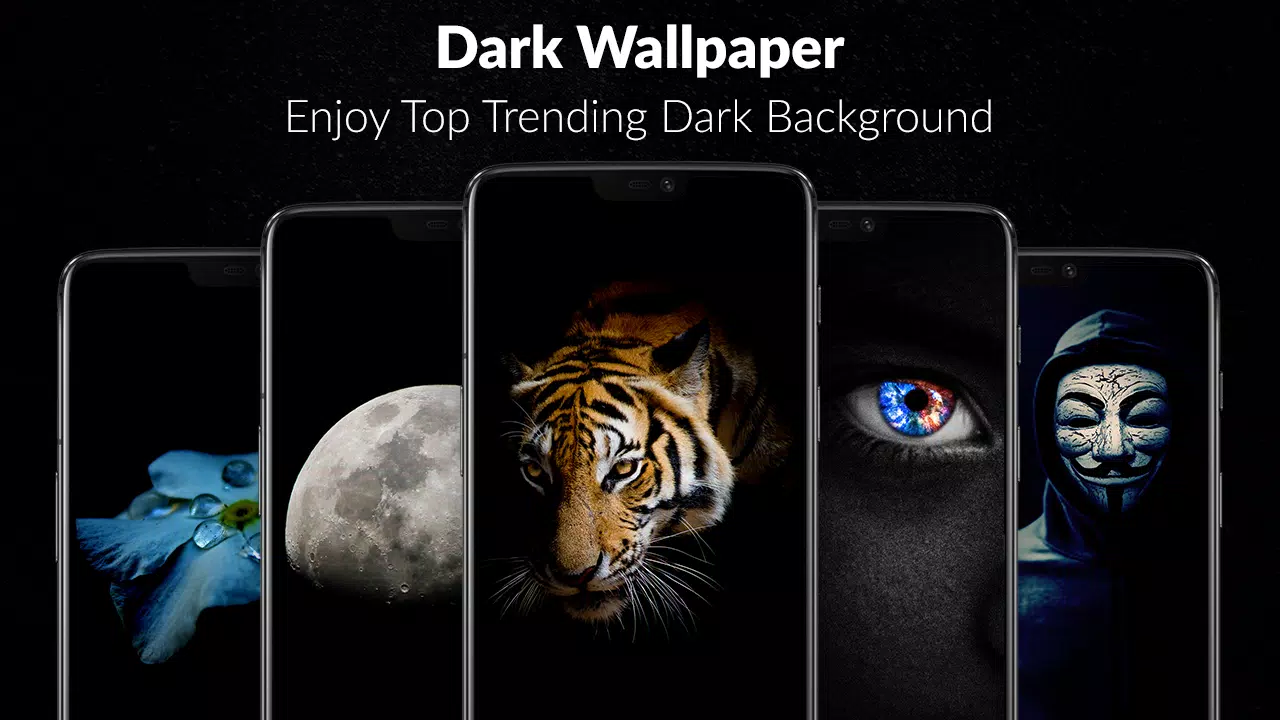 Black wallpapers: \