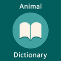 Animal Facts