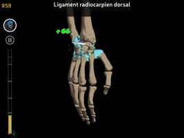 Anatomy Ninja capture d'écran 1