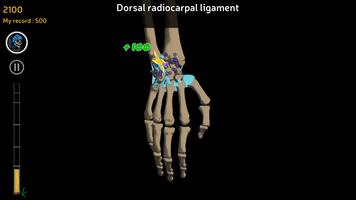 Anatomy Ninja تصوير الشاشة 3