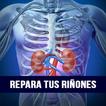 Repara tus riñones