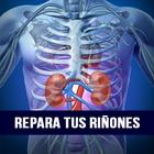 Repara tus riñones 圖標