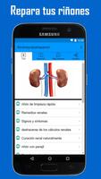Repara tus riñones imagem de tela 1