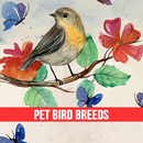 Pet Bird & Breeds APK