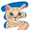 Scratch and Guess