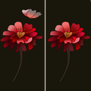 Differences APK