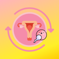 Ovulation & Period Tracker Pro