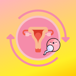 Cycle d'ovulation Pro