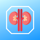 Kidney Stone Scoring - Predicts SFR after PCNL APK