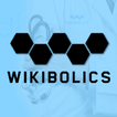 维基波力克思(Wikibolics)