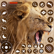 Simulateur de Lion d'Afrique