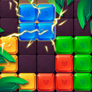 2020! Block Puzzle APK