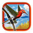 Bowman 3D Angry Bird Hunting