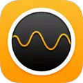Brainwaves