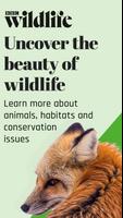 BBC Wildlife ポスター