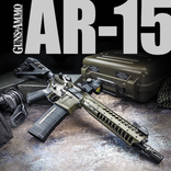 Book Of The AR-15