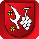 Bratislava - Vajnory APK