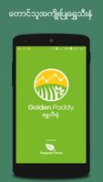 Golden Paddy penulis hantaran