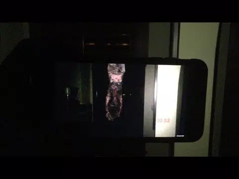 Night Terrors Bloody Mary Apk 3 1 Download For Android Download Night Terrors Bloody Mary Xapk Apk Obb Data Latest Version Apkfab Com - apkfab all answers for bloody mary roblox game Night Terrors Bloody Mary Apk 3 1 Download For Android Download Night Terrors Bloody Mary Xapk Apk Obb Data Latest Version Apkfab Com - all answers for bloody mary roblox game