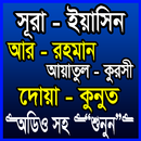 সূরা ইয়াসিন-আয়াতুল কুরসী-আর-রহমান অডিওসহ APK