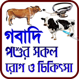 গবাদি পশুর সকল রোগ ও চিকিৎসা icon