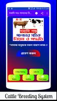 গবাদি পশু পালনের নিয়ম ও পদ্ধতি poster