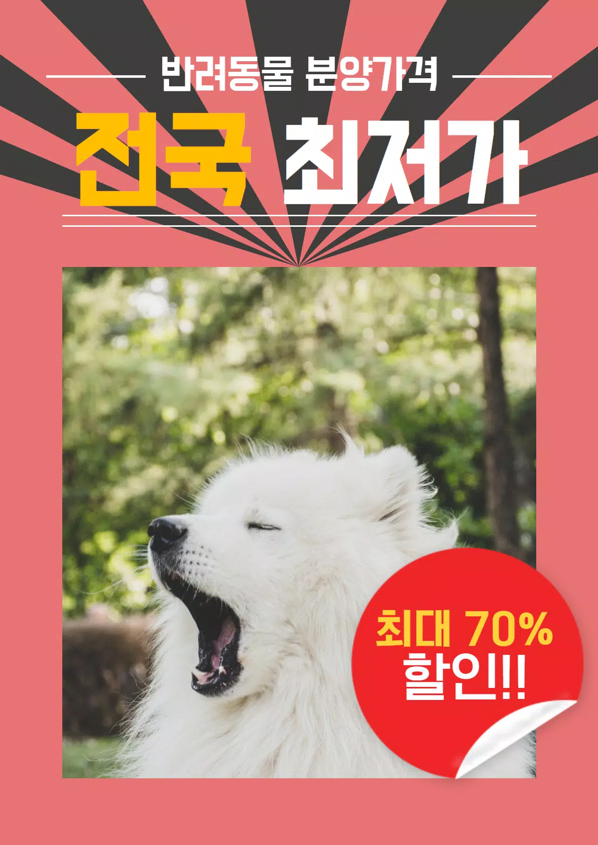 강아지분양 고양이분양 최저가분양 도그마루라이트安卓版应用APK下载 강아지분양 고양이분양 최저가분양 도그마루라이트安卓版应用Apk下载