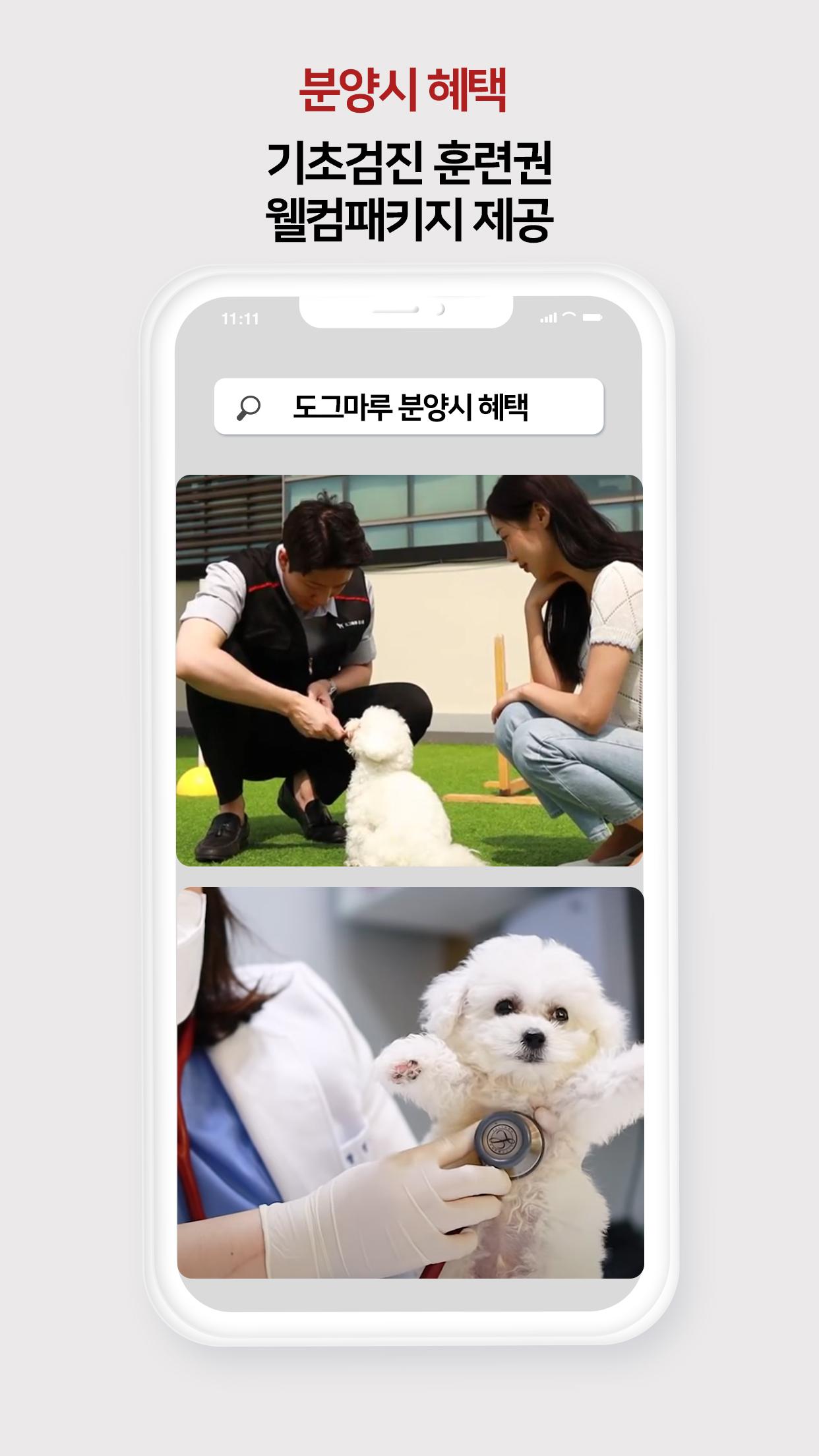 Android용 강아지분양 고양이분양 도그마루 애견분양 최저가분양 APK 다운로드 Android용 강아지분양 고양이분양 도그마루 애견분양 최저가분양 Apk 다운로드