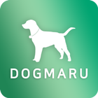 도그마루 홈스쿨 - 강아지행동교정 강아지훈련소 짖음훈련 图标