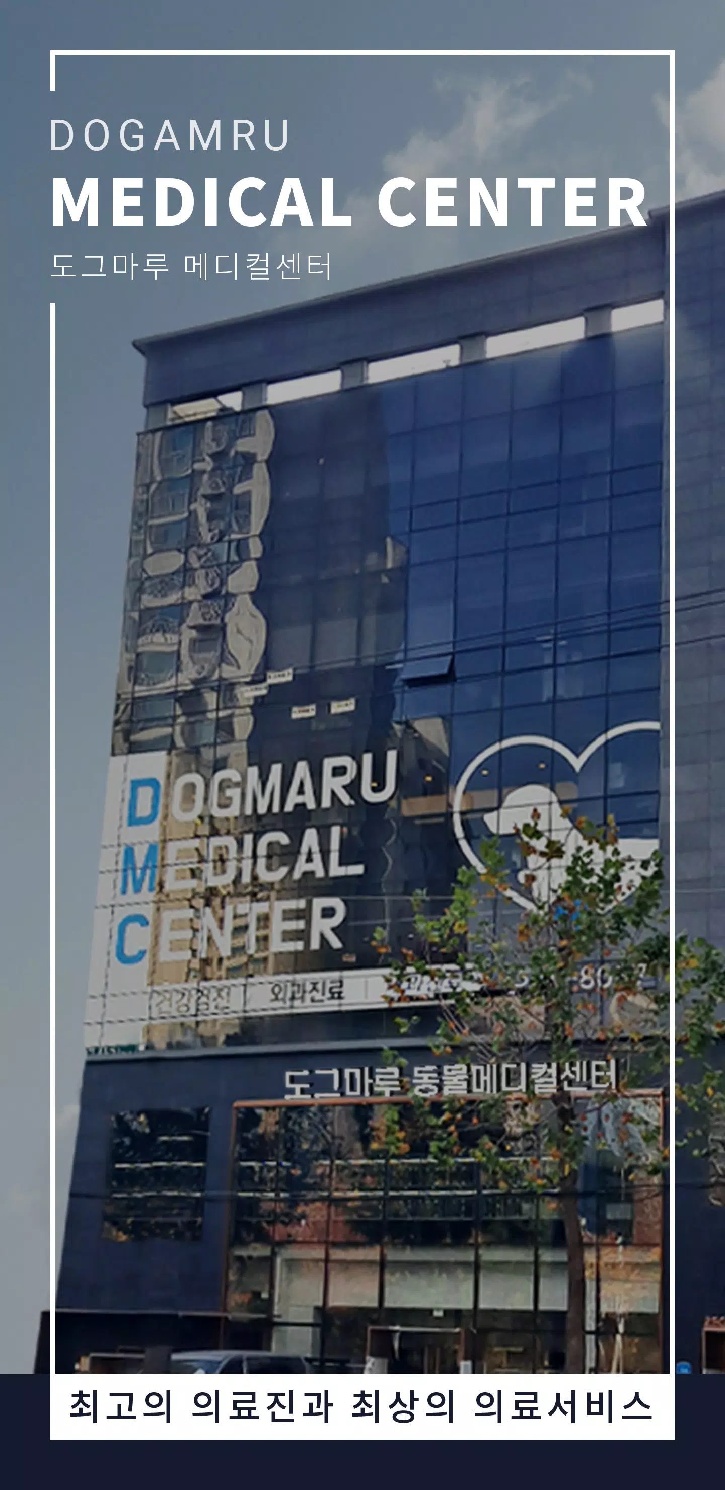 도그마루 메디컬센터 자체동물병원 APK untuk Unduhan Android 도그마루 메디컬센터 자체동물병원 Apk Untuk Unduhan Android