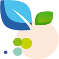 ImuPlan