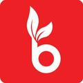 Budgett