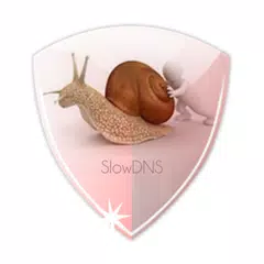 Скачать VPN Over DNS  Tunnel : SlowDNS APK