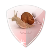 VPN Over DNS  Tunnel : SlowDNS icon