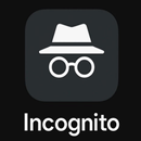 incognito mode browser APK