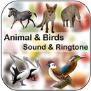 Animals & Birds Sound & Ringtone 2019 APK