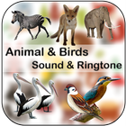 Animals & Birds Sound & Ringtone 2019 icône