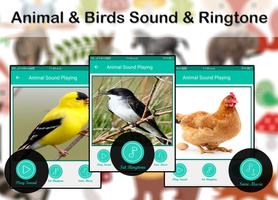 Animals & Birds Sound & Ringtone 2019 Affiche
