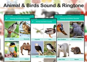Animals & Birds Sound & Ringtone 2019 capture d'écran 1