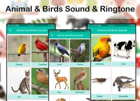 Animals & Birds Sound & Ringtone 2019 capture d'écran 2