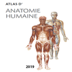 Atlas Anatomie Humaine 2019
